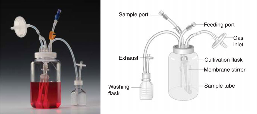 BioReactors