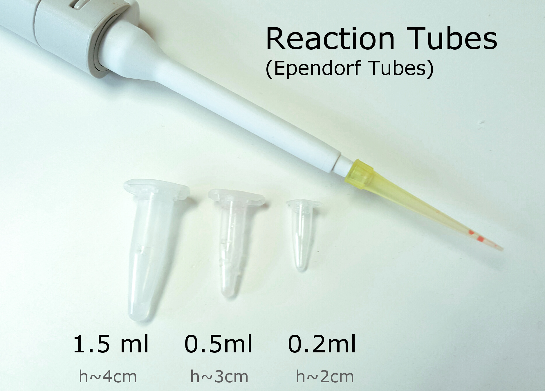 Ebbendorf Tubes