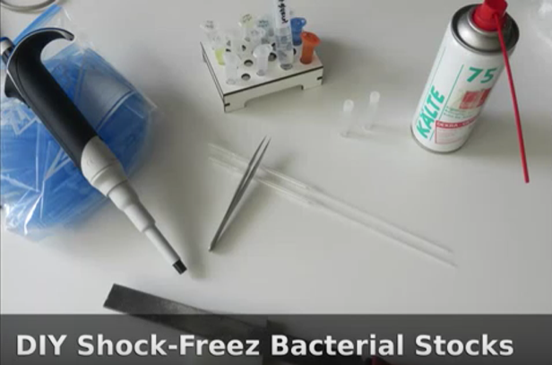 DIY Shock Freeze