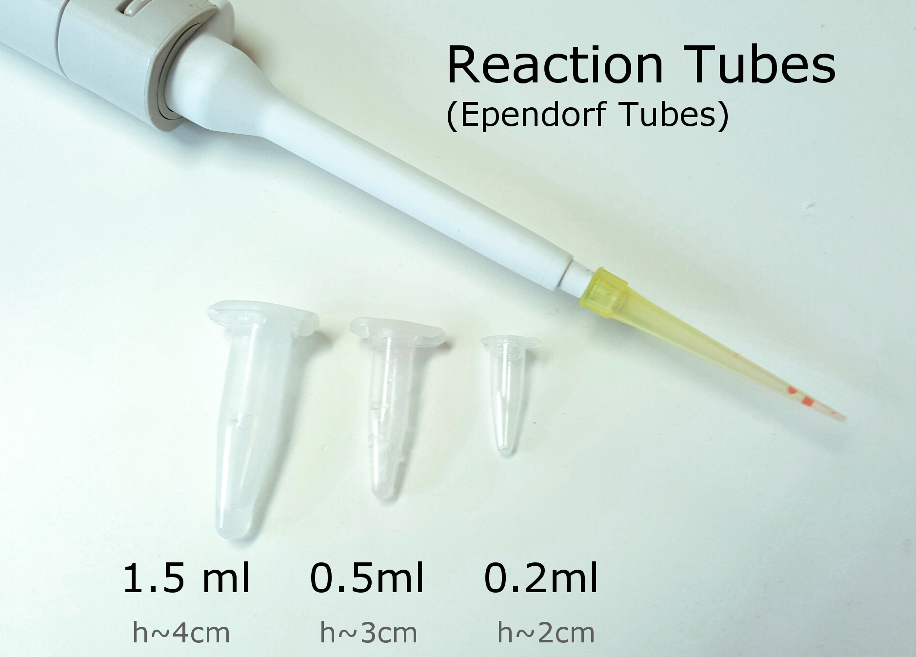 What volume eppendorf tubes are there